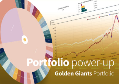 High complexity multi-asset portfolio with 41 investments – 246% reward.